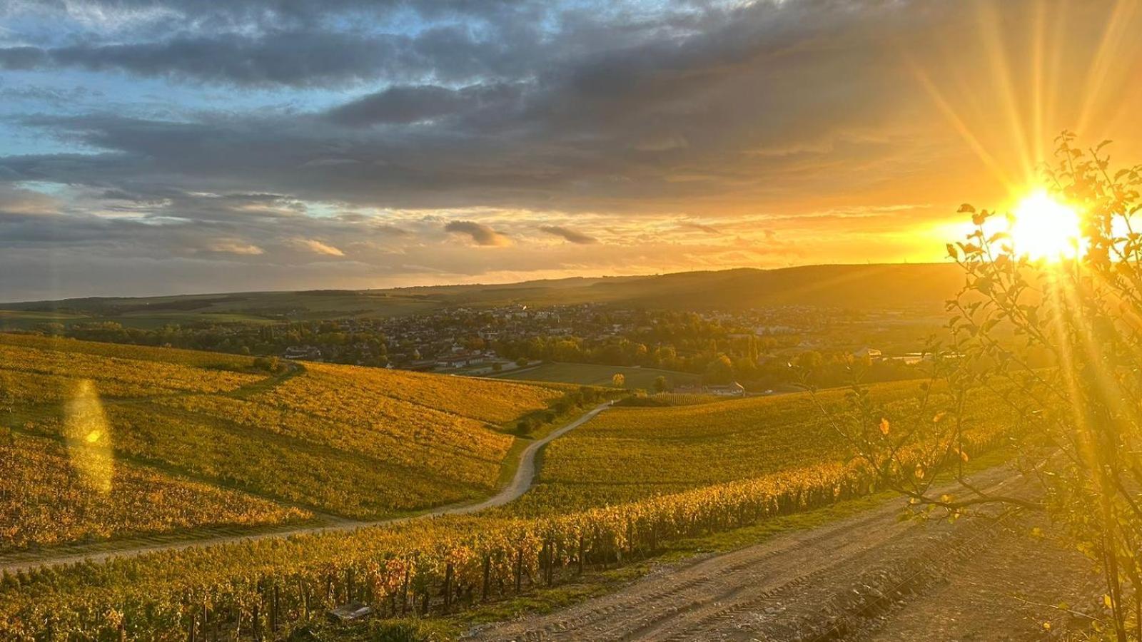 Maison De Campagne Entre Vigne Et Bois Chablis Kültér fotó